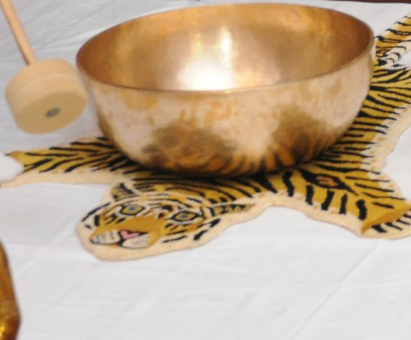 Energy Meridians Healing Set - Image 3